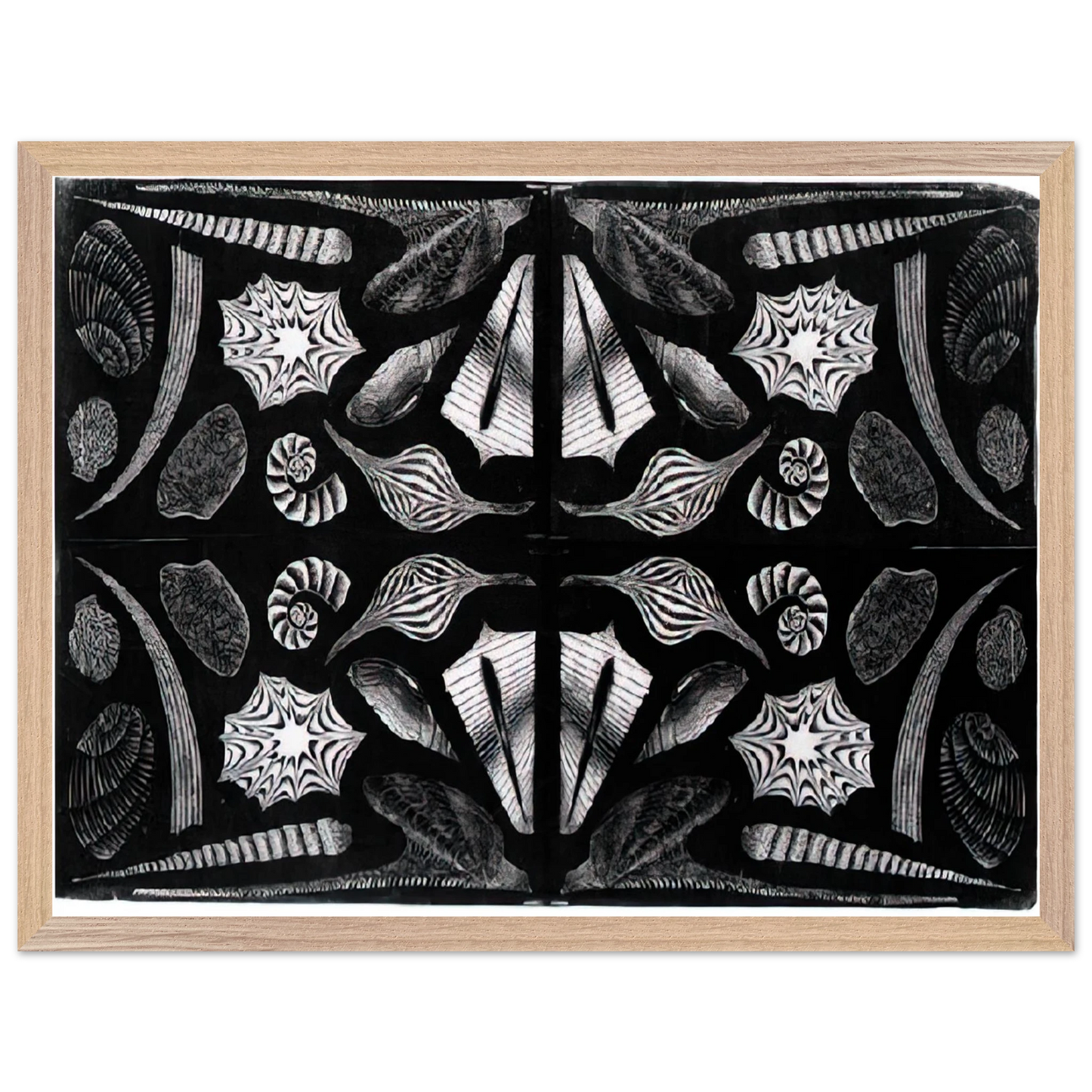 MC Escher - ESCHER (5) Wall Art - 21x29.7 cm / 8x12" - Premium Wooden Framed Poster With Fine Art Paper - Black frame