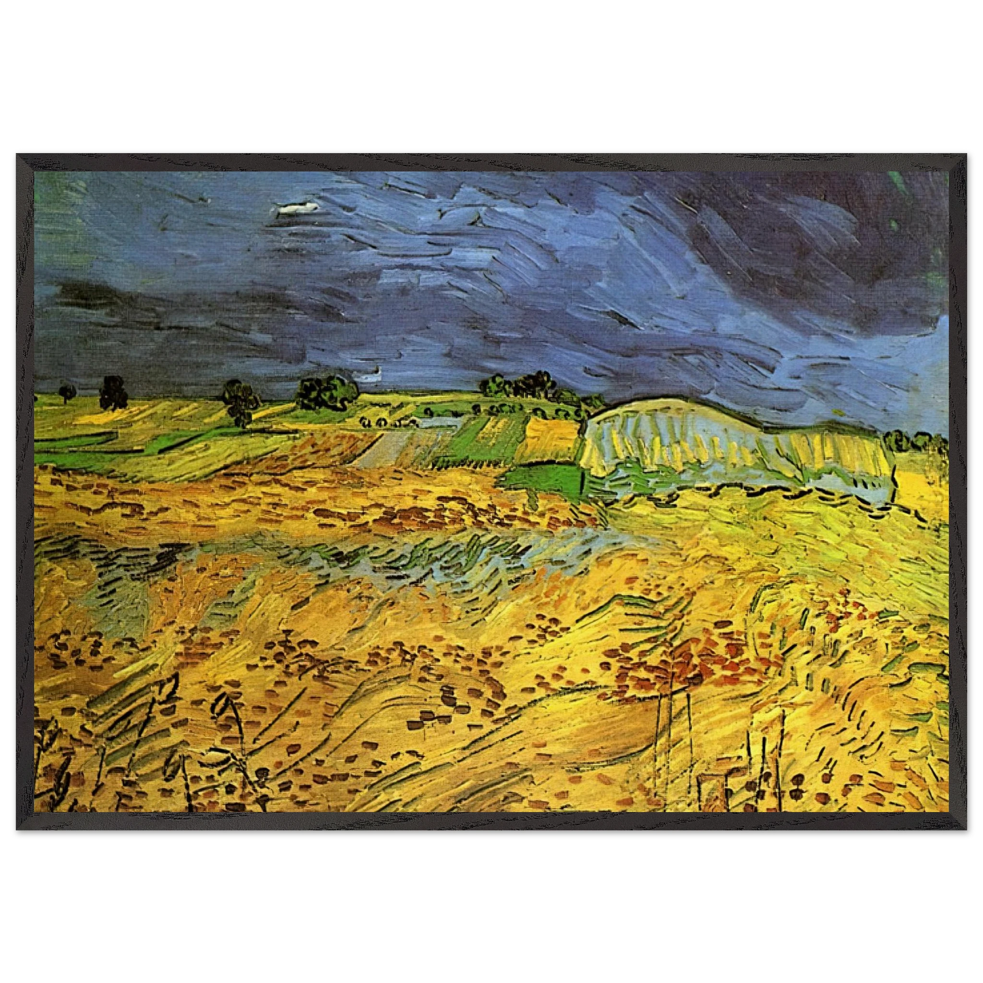 The Fields - Vincent van Gogh Framed Art Print – Black Wooden Frame - Default Title - -Framed Art Print