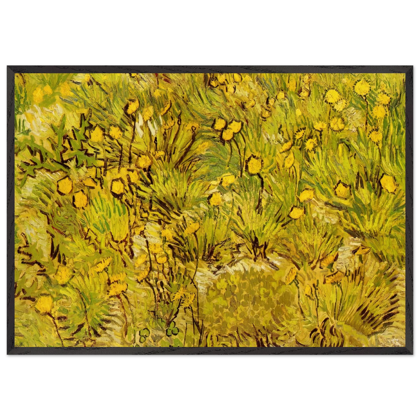 A Field of Yellow Flowers - Vincent van Gogh Framed Art Print – Black Wooden Frame - Default Title - -Framed Art Print