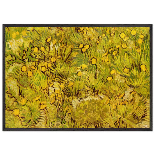 A Field of Yellow Flowers - Vincent van Gogh Framed Art Print – Black Wooden Frame - Default Title - -Framed Art Print