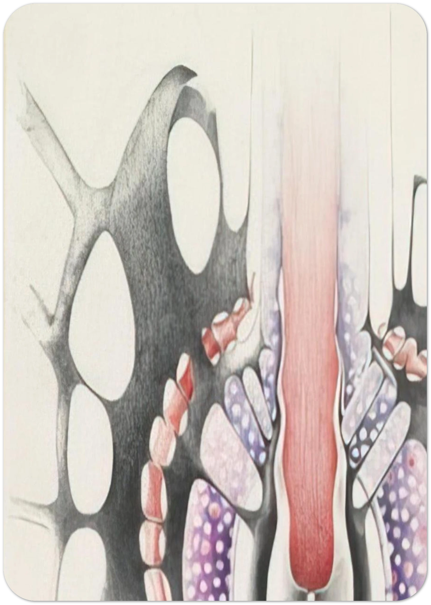 0b491182-2a03-4f8c-a145-5fa70cf13797