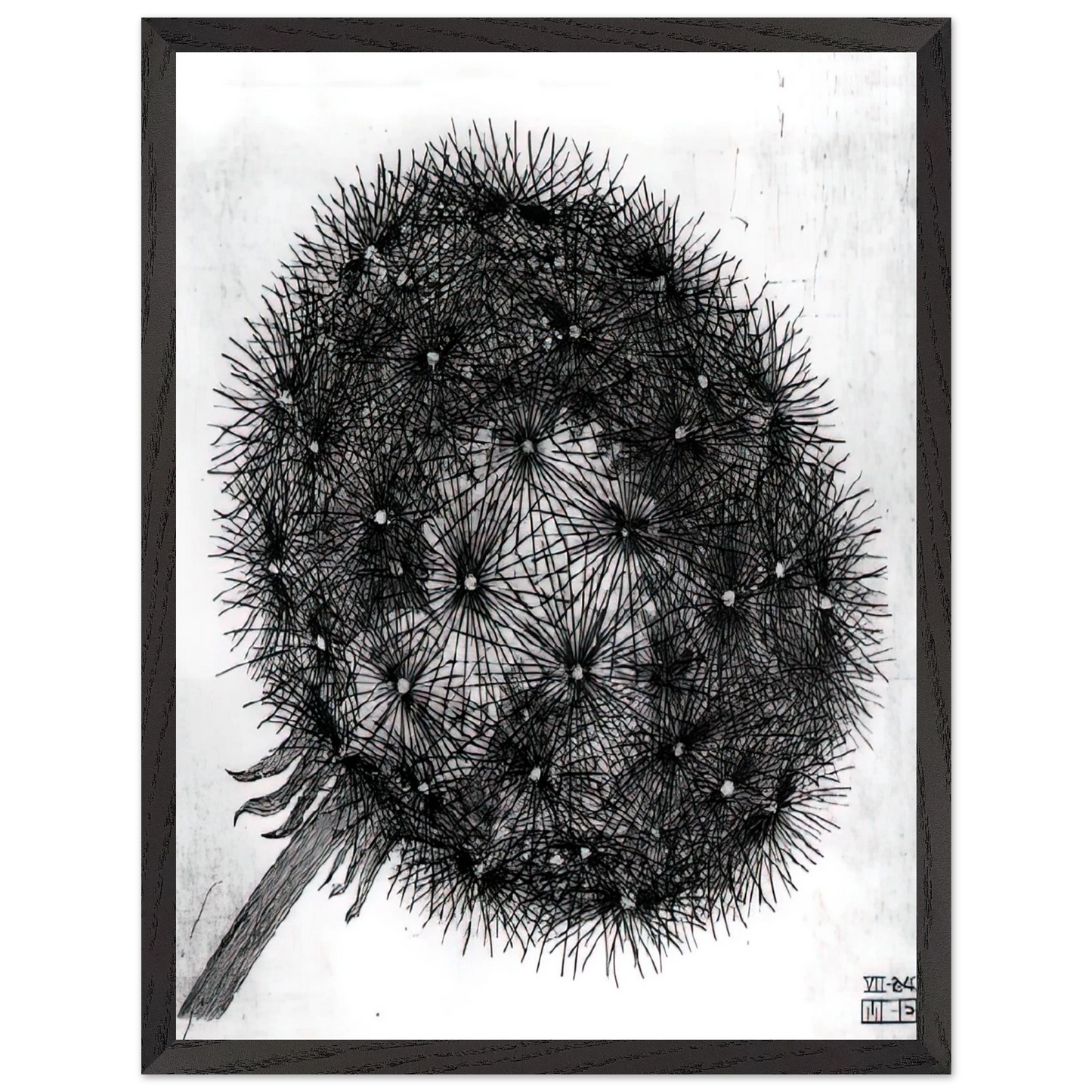 MC Escher - BLOWBALL I Wall Art - 60x80 cm / 24x32 inches - Premium Wooden Framed Poster With Fine Art Paper - Wood frame