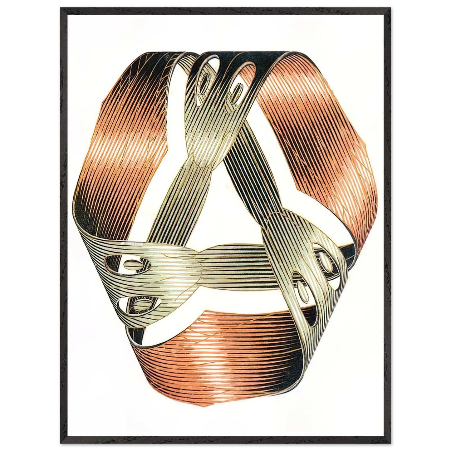 MC Escher - MOEBIUS STRIP I Wall Art - 60x80 cm / 24x32 inches - Premium Wooden Framed Poster With Fine Art Paper - Black frame