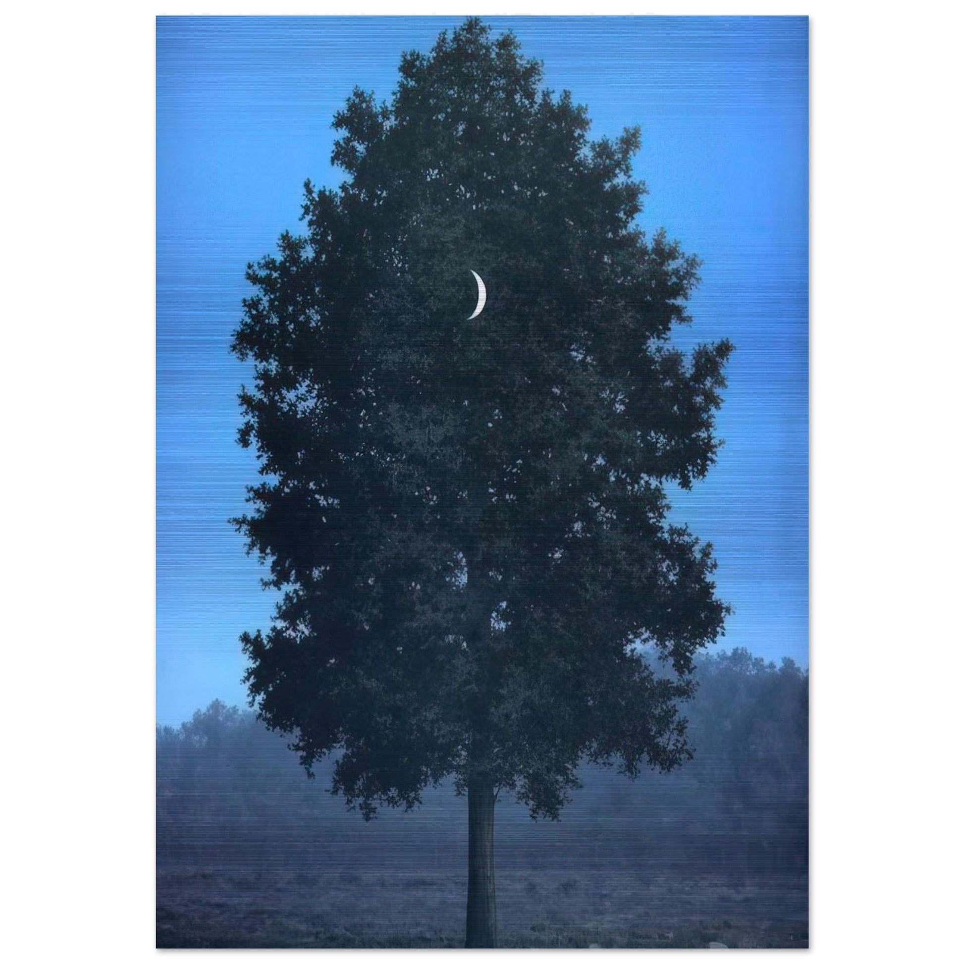 0e204feb-cfa5-49b4-b177-53c307fe440c