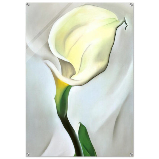 Calla Lily Turned Away - Georgia O'Keeffe Acrylic Print - 70x100 cm / 28x40″ inches