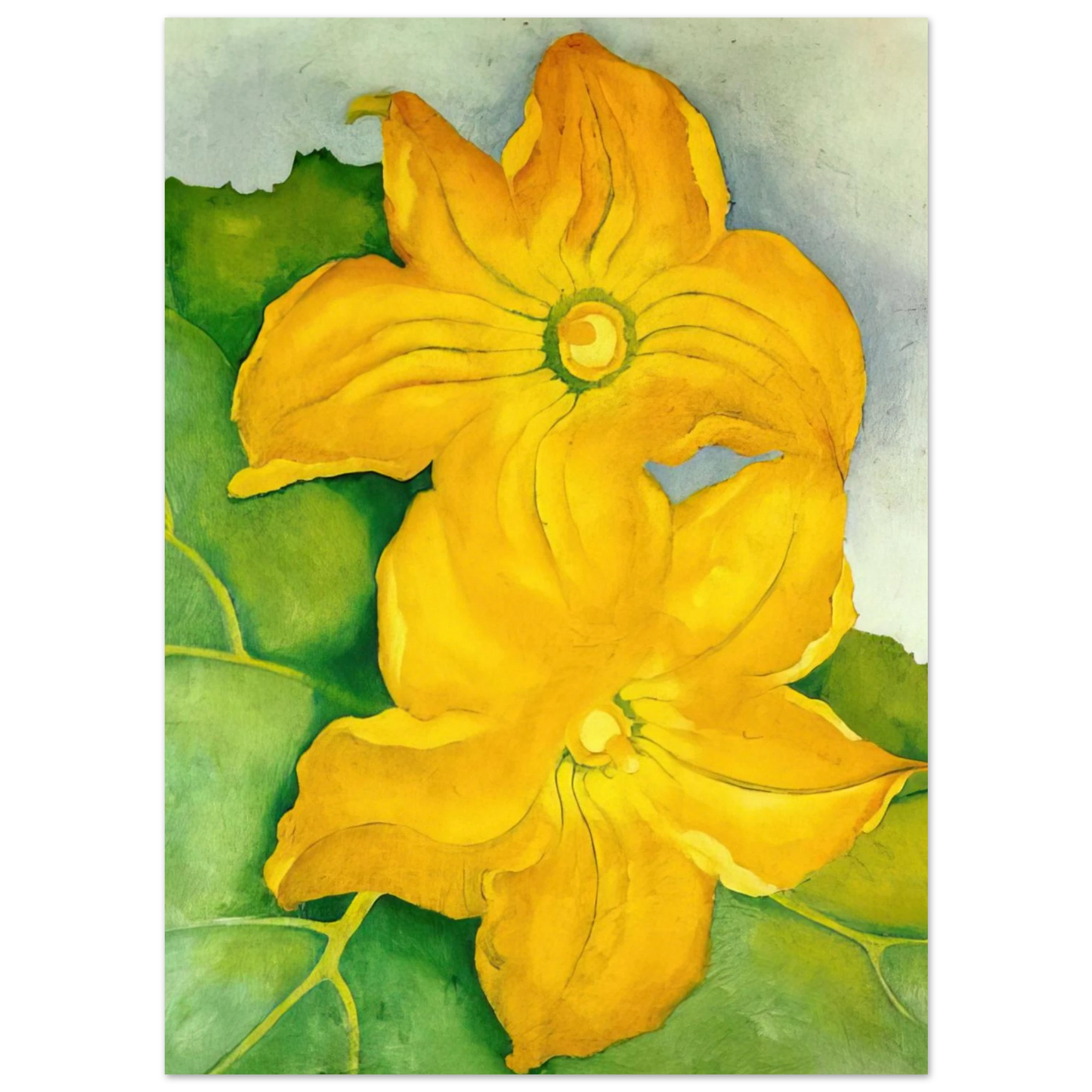 Georgia O'Keeffe - Squash Blossoms I Fine Art Poster - 40x60 cm / 16x24 inches