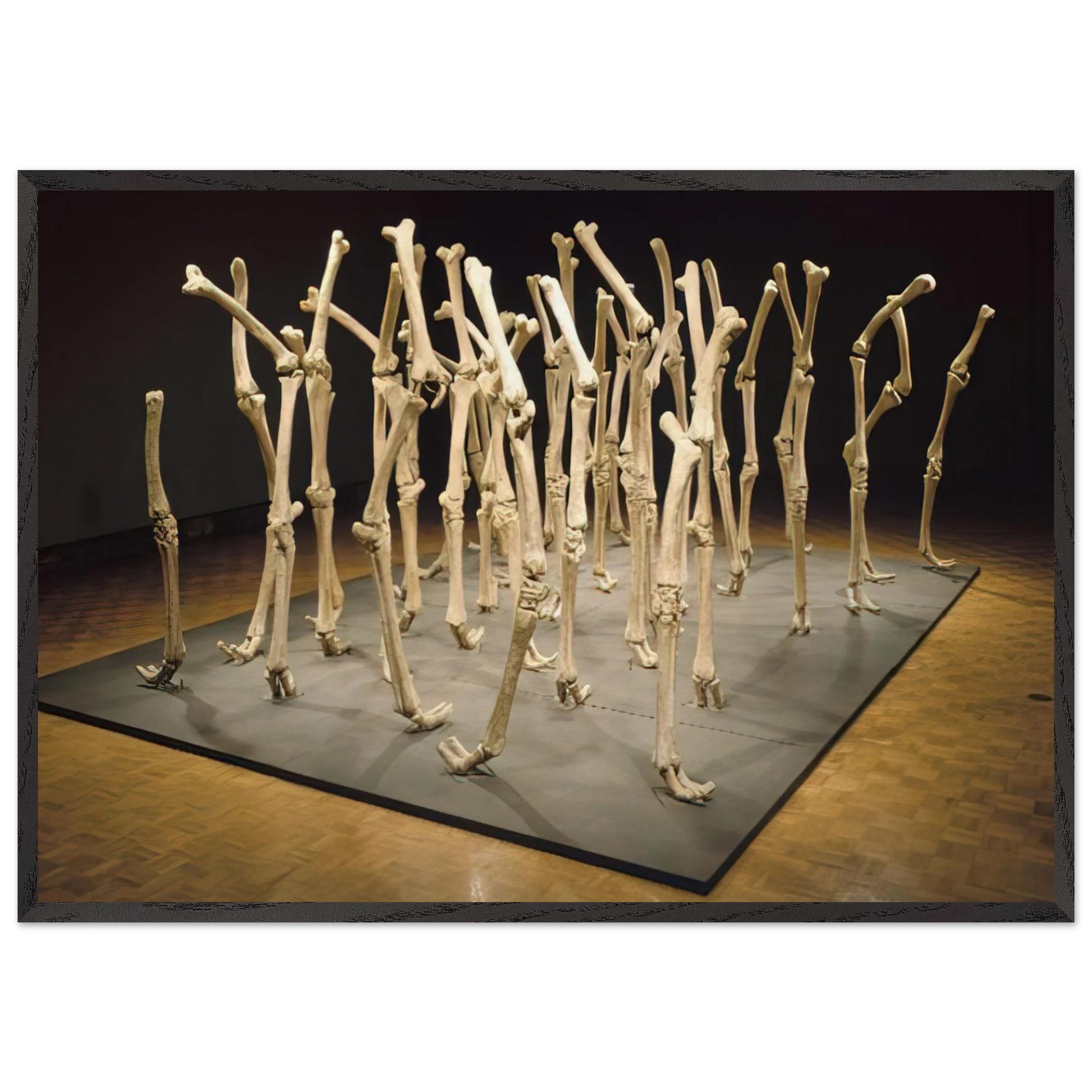 VARIABILITY OF SIMILAR FORMS 1970 - Nancy Graves Framed Art Print – Black Wooden Frame - Default Title - -Framed Art Print