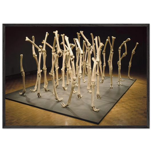 VARIABILITY OF SIMILAR FORMS 1970 - Nancy Graves Framed Art Print – Black Wooden Frame - Default Title - -Framed Art Print