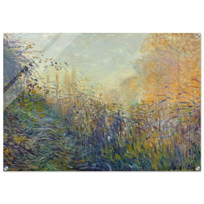 Study Rushes at Argenteuil - claude monet Acrylic Print - 70x100 cm / 28x40″ inches