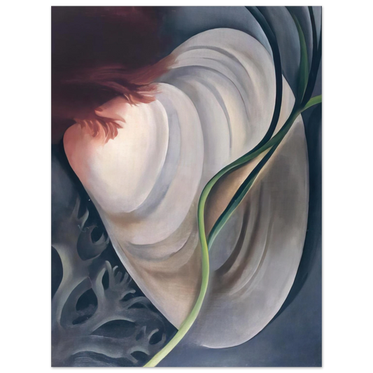 Georgia O'Keeffe - Shell No 2 Fine Art Poster - 13x18 cm / 5x7 inches
