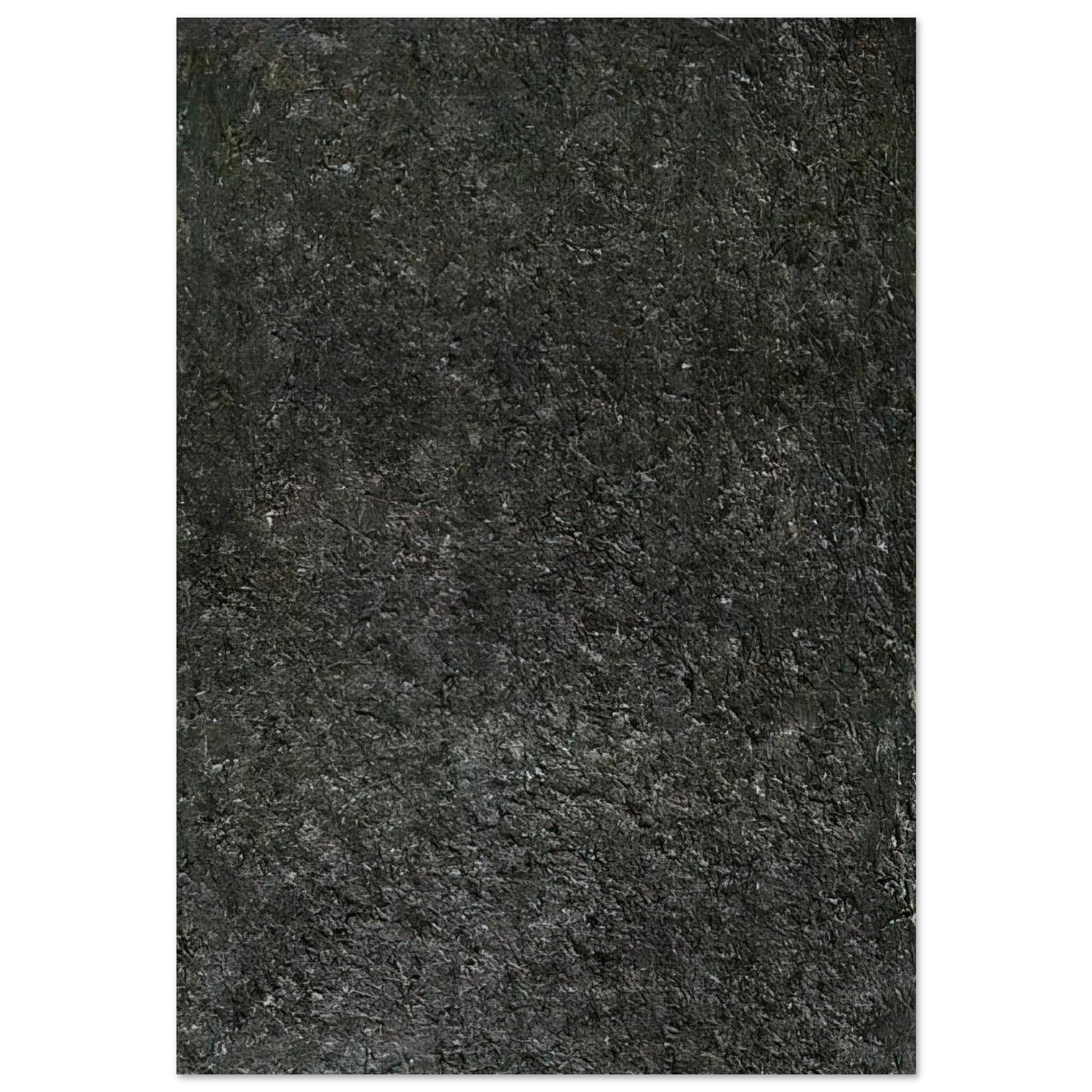 1205eb5f-920c-42be-b7c6-74429114d6fb