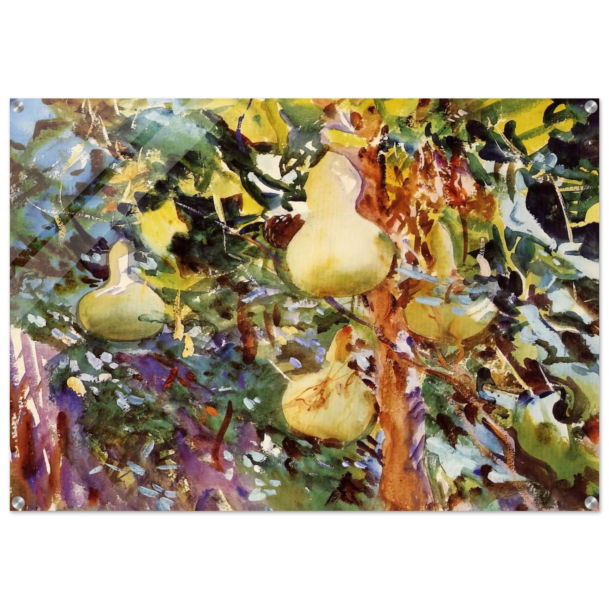 Gourds - John Singer Sargent Acrylic Print - 70x100 cm / 28x40″ inches