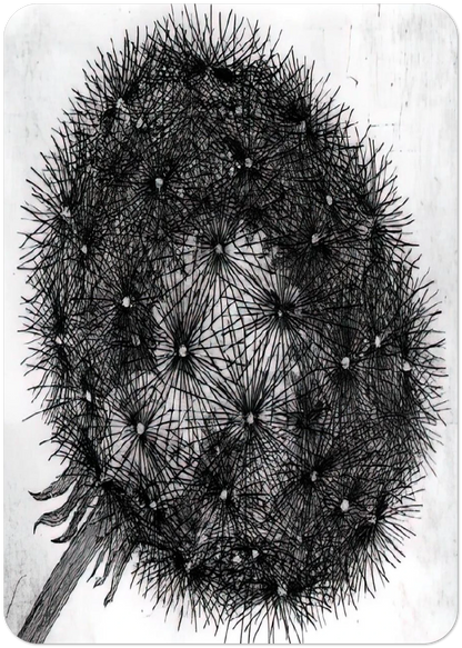 BLOWBALL I By MC Escher Pack of 10 Post Cards | MC Escher Post Cards | A6 (10.5 x 14.8 cm) - 4.1 x 5.8 inches