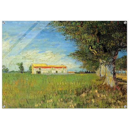 Farmhouse in a Wheat Field - Vincent van Gogh Acrylic Print - 70x100 cm / 28x40″ inches