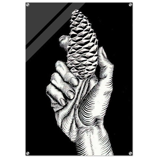 HAND WITH FIR CONE - MC Escher Acrylic Print - 70x100 cm / 28x40″ inches | MC Escher Wall Art | MC Escher Prints