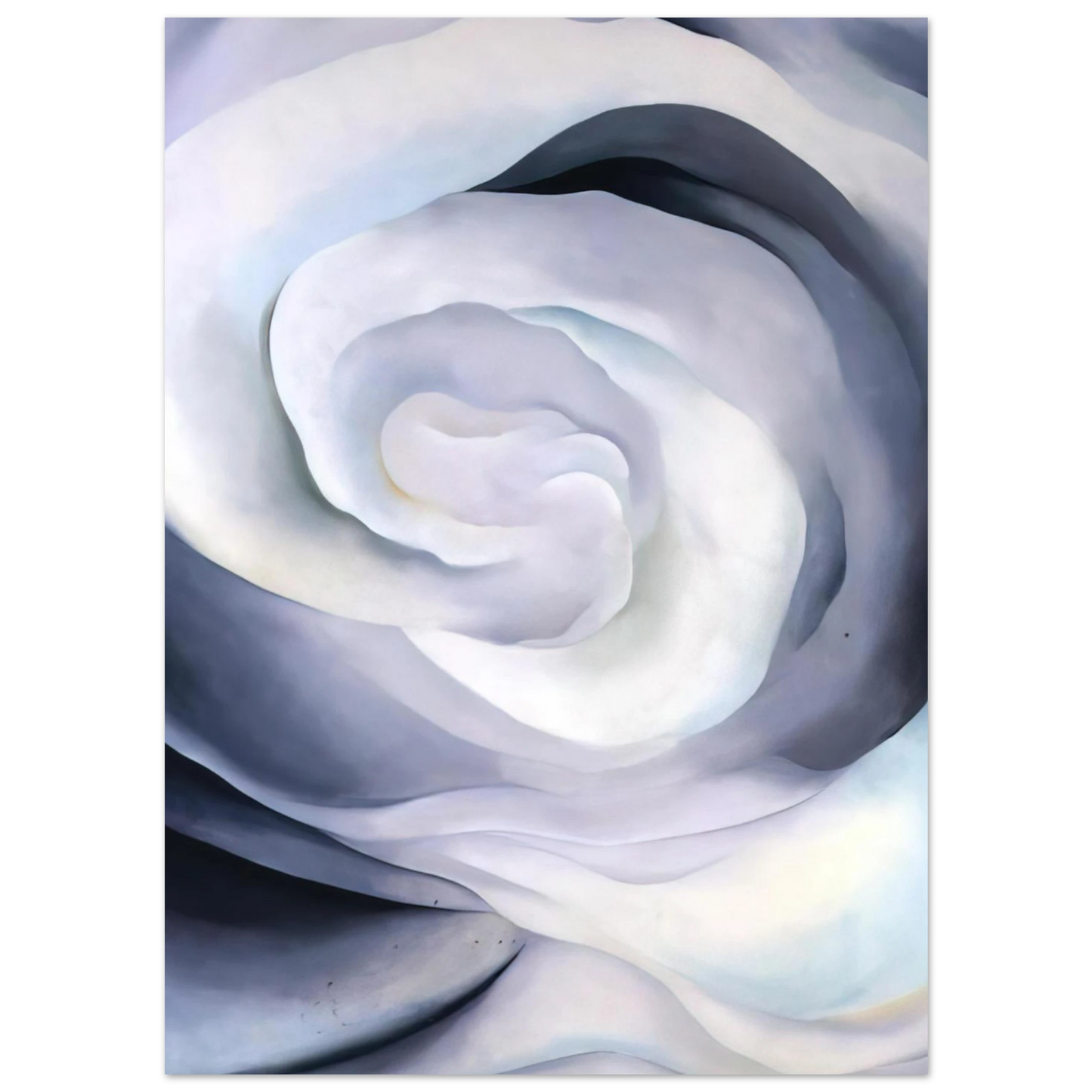 Georgia O'Keeffe - Abstraction White Rose Fine Art Poster - 40x60 cm / 16x24 inches
