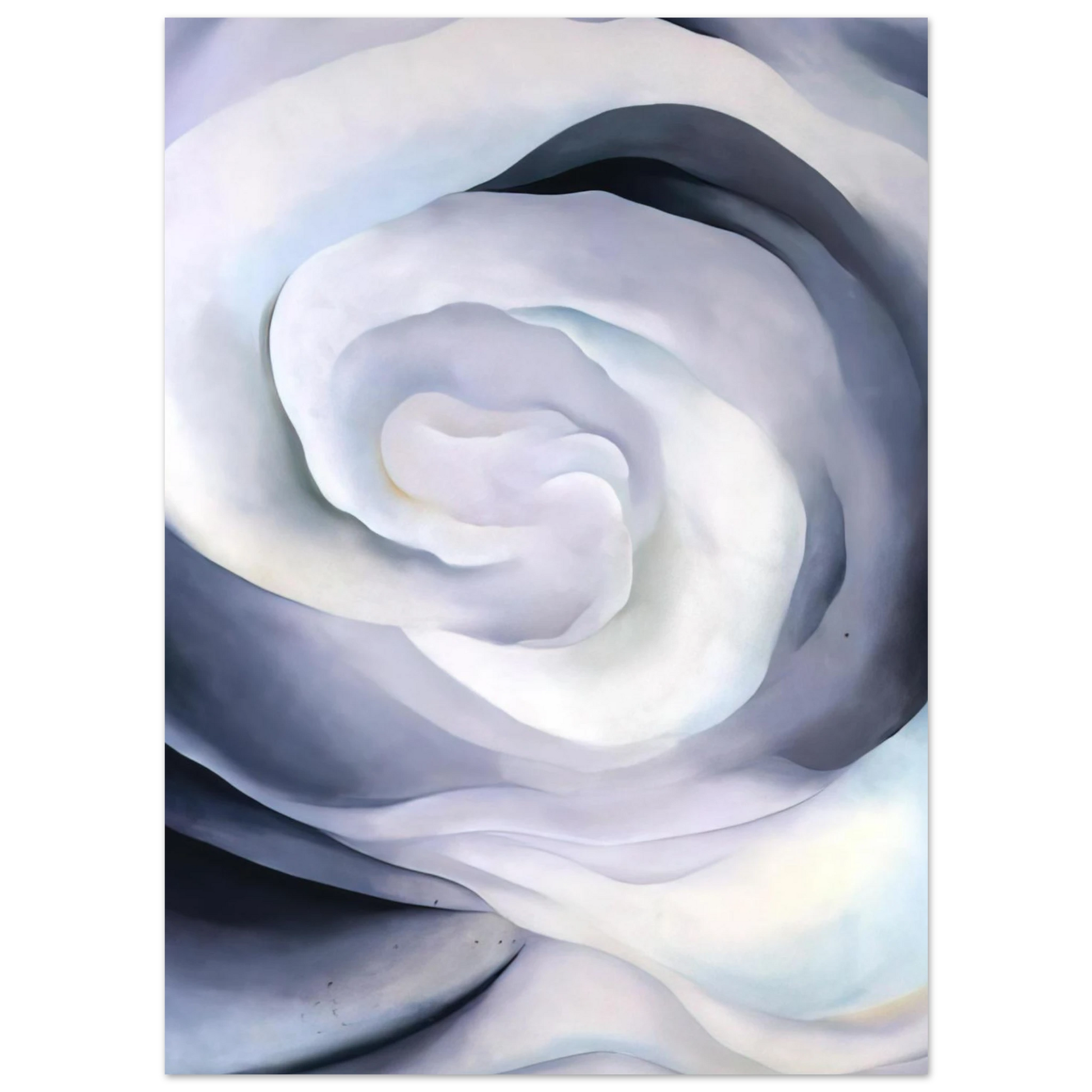 Georgia O'Keeffe - Abstraction White Rose Fine Art Poster - 40x60 cm / 16x24 inches