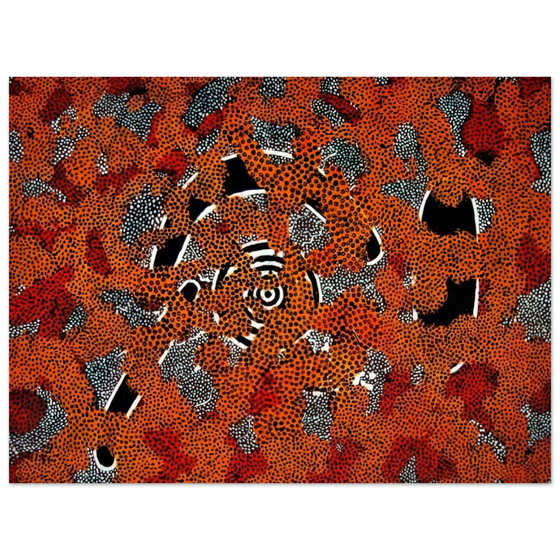 Clifford Possum Tjapaltjarri - Love Sun Dreaming - 1972 Fine Art Poster - Default Title