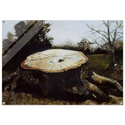 1557be51-e5bc-4fb4-9878-7bffac7c267c