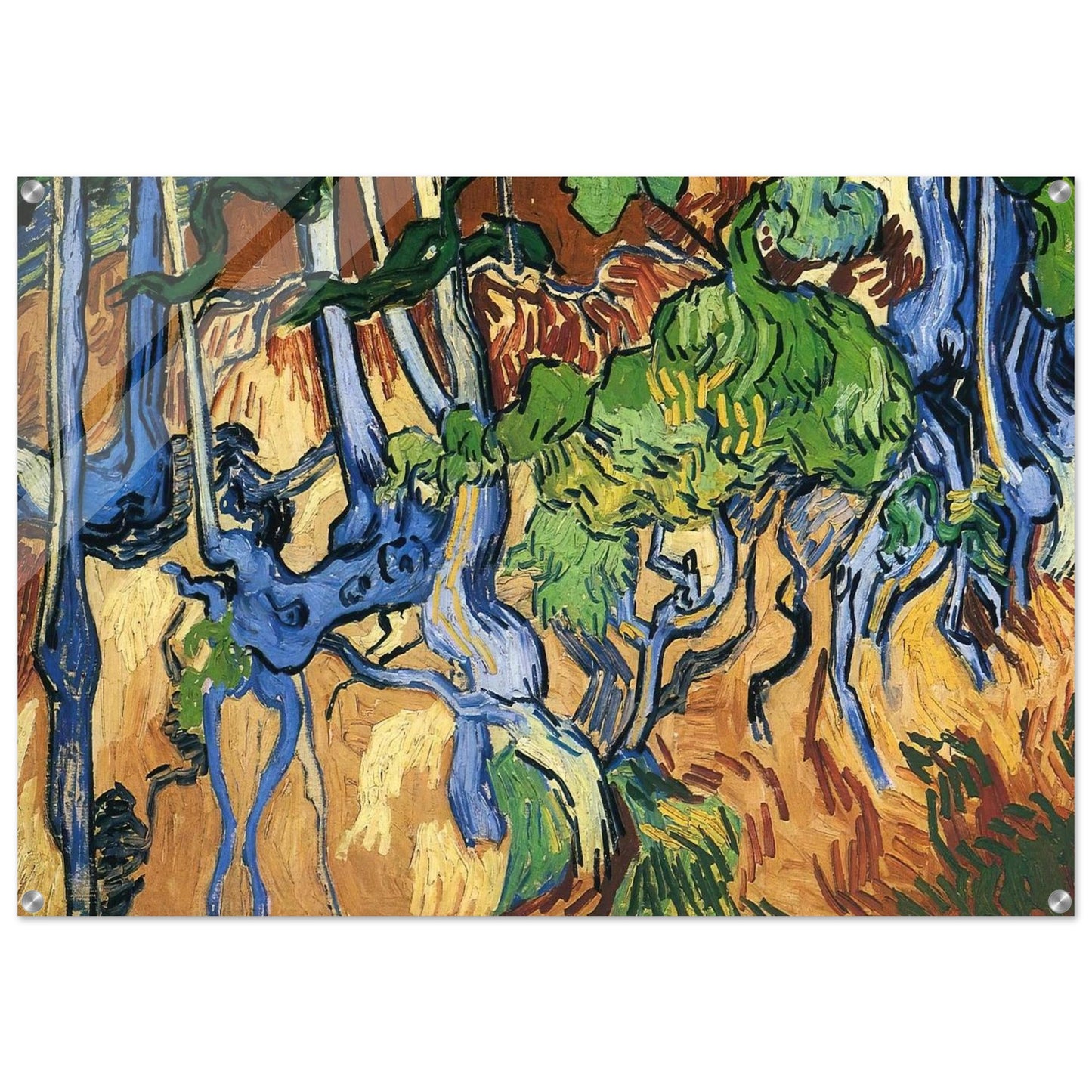Tree roots - Vincent van Gogh Acrylic Print - 70x100 cm / 28x40″ inches