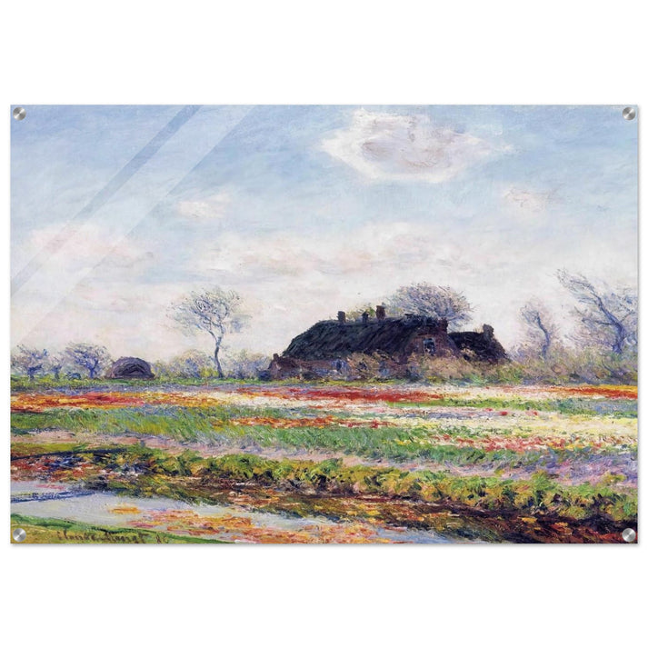 Tulip Fields at Sassenheim, near Leiden - claude monet Acrylic Print - 70x100 cm / 28x40″ inches