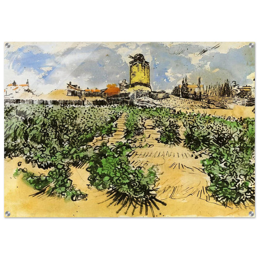 The Mill of Alphonse Daudet at Fontevieille - Vincent van Gogh Acrylic Print - 70x100 cm / 28x40″ inches | Vincent van Gogh Wall Art | Vincent van Gogh Prints
