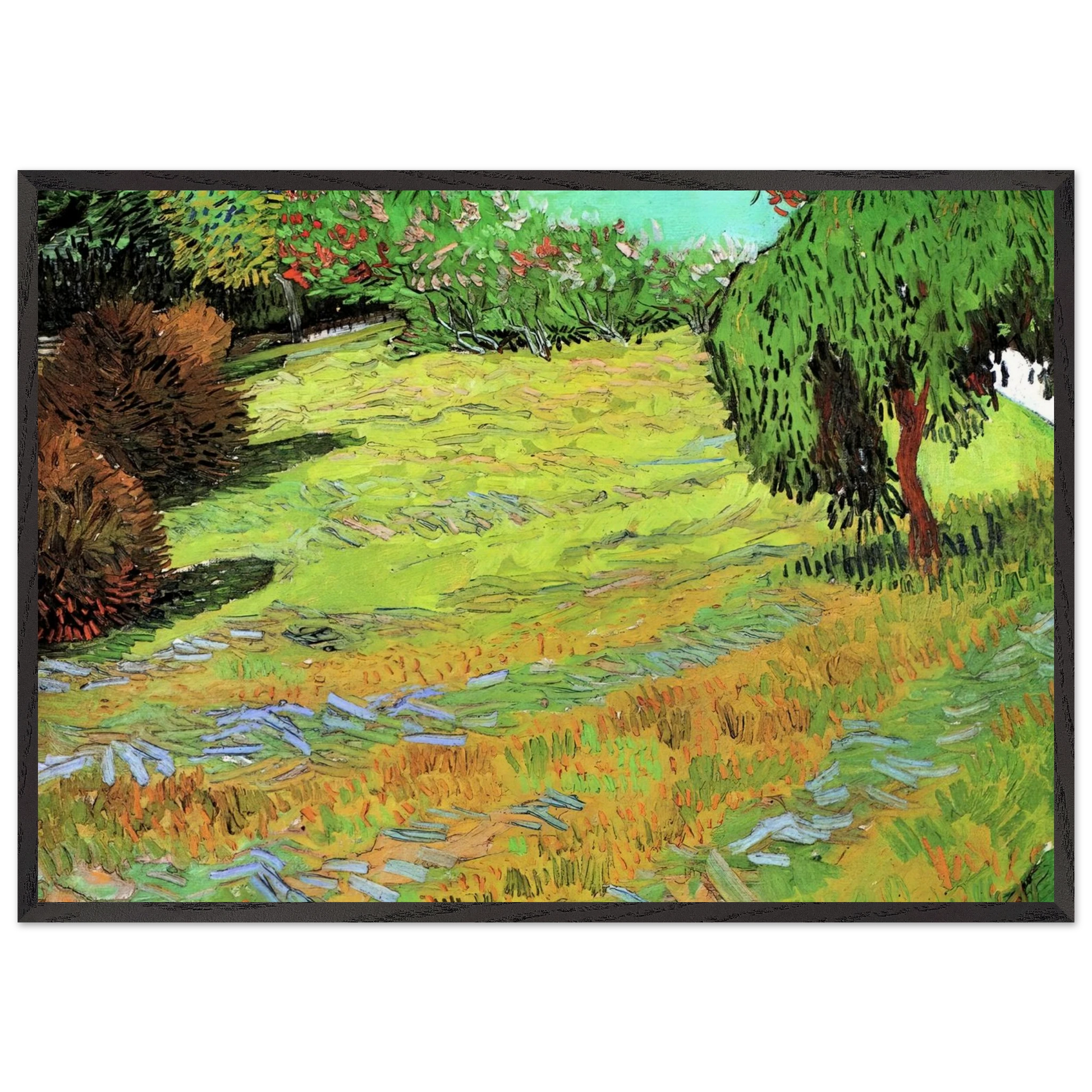 Sunny Lawn in a Public Park - Vincent van Gogh Framed Art Print – Black Wooden Frame - Default Title - -Framed Art Print