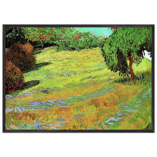 Sunny Lawn in a Public Park - Vincent van Gogh Framed Art Print – Black Wooden Frame - Default Title - -Framed Art Print