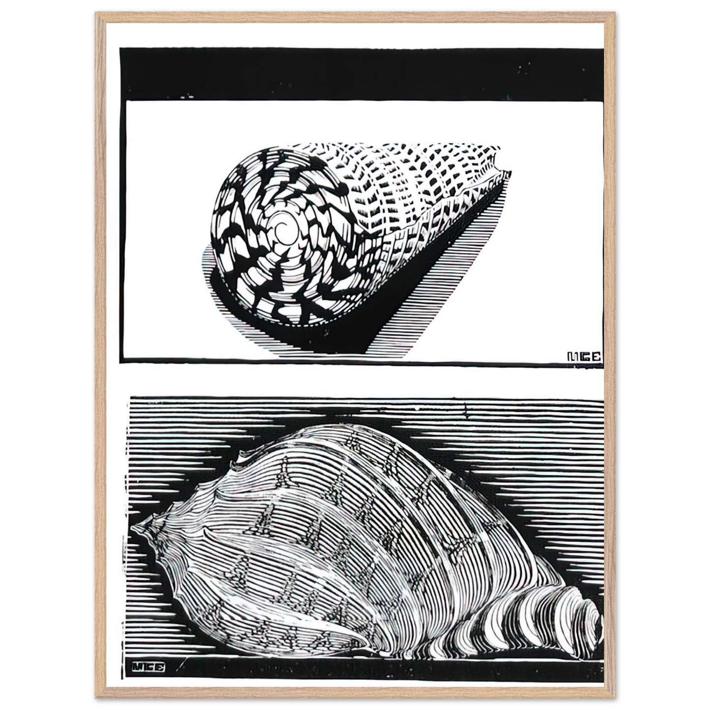 MC Escher - SEA SHELLS Wall Art - 30x40 cm / 12x16 inches - Premium Wooden Framed Poster With Fine Art Paper - Wood frame