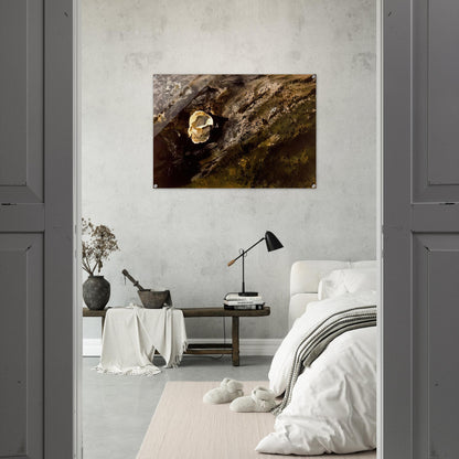 1723bff2-a480-4ac8-bcaf-6735a2db0241