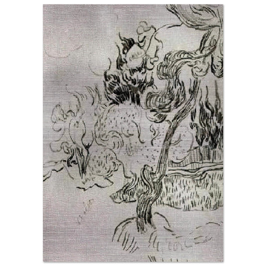 A Pine Tree and Cypresses in the Garden of the Asylum - Vincent van Gogh Brushed Aluminum Print - 70x100 cm / 28x40 inches | Vincent van Gogh Aluminum Print | Vincent van Gogh Prints
