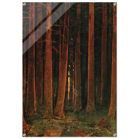 Sunset in the forest - Arkhyp Kuindzhi Acrylic Print - 70x100 cm / 28x40″ inches | Arkhyp Kuindzhi Wall Art | Arkhyp Kuindzhi Prints