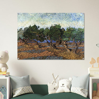 Olive Grove - Vincent van Gogh Acrylic Print - 70x100 cm / 28x40″ inches