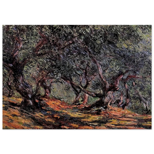 Olive Trees in Bordigher - claude monet Brushed Aluminum Print - 70x100 cm / 28x40 inches | claude monet Aluminum Print | claude monet Prints
