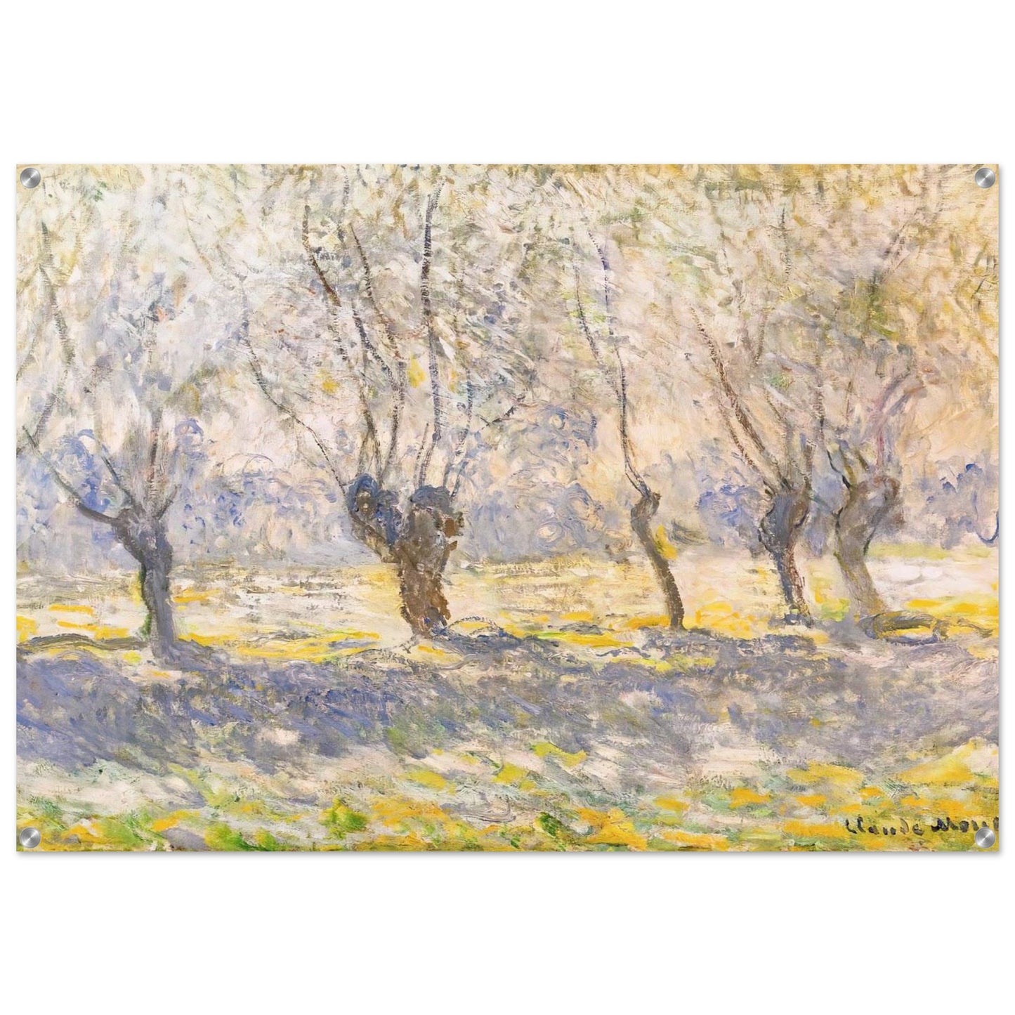 Willows, Giverny - claude monet Acrylic Print - 70x100 cm / 28x40″ inches