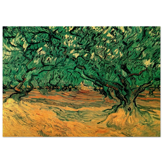 Olive Trees - Vincent van Gogh Brushed Aluminum Print - 70x100 cm / 28x40 inches | Vincent van Gogh Aluminum Print | Vincent van Gogh Prints