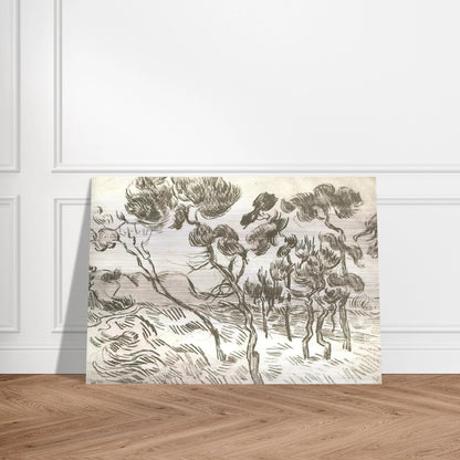 A Group of Pine Trees near a House - Vincent van Gogh Brushed Aluminum Print - 70x100 cm / 28x40 inches | Vincent van Gogh Aluminum Print | Vincent van Gogh Prints