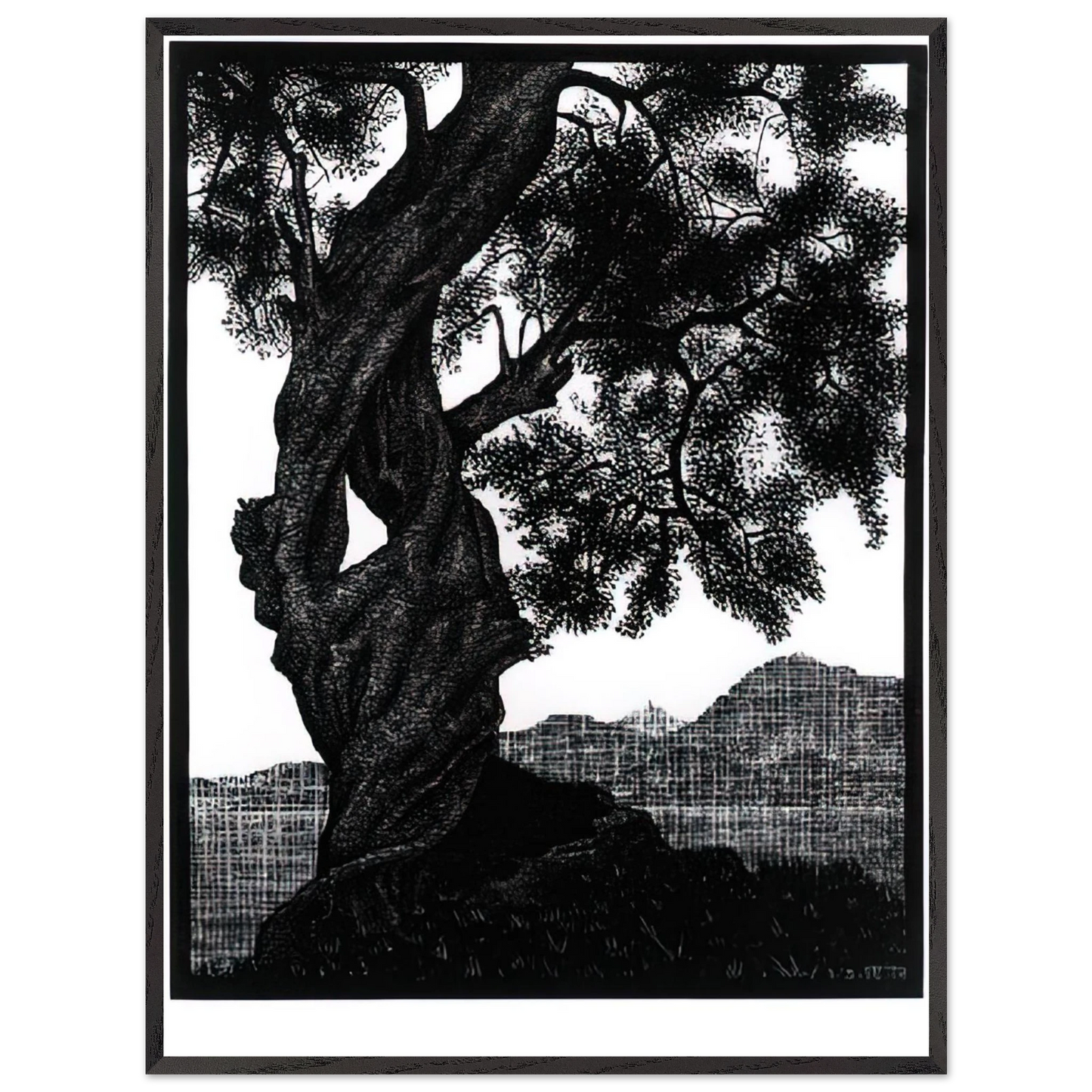 MC Escher - OLD OLIVE TREE CORSICA Wall Art - 21x29.7 cm / 8x12" - Premium Wooden Framed Poster With Fine Art Paper - Black frame