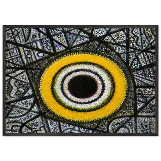 1c3e8b31-f227-4b4c-ab7b-bf4221e16c44