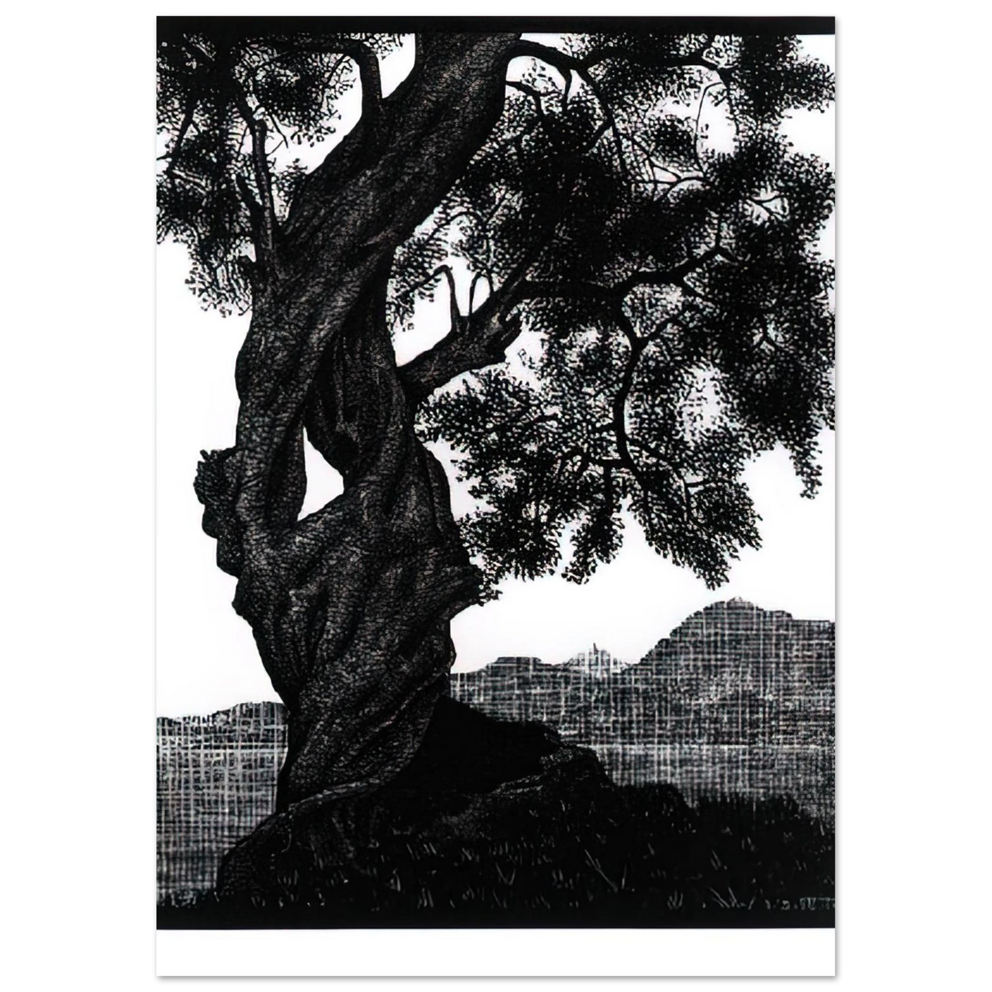 MC Escher - OLD OLIVE TREE CORSICA Wall Art - 30x40 cm / 12x16 inches - Premium Wooden Framed Poster With Fine Art Paper - White frame