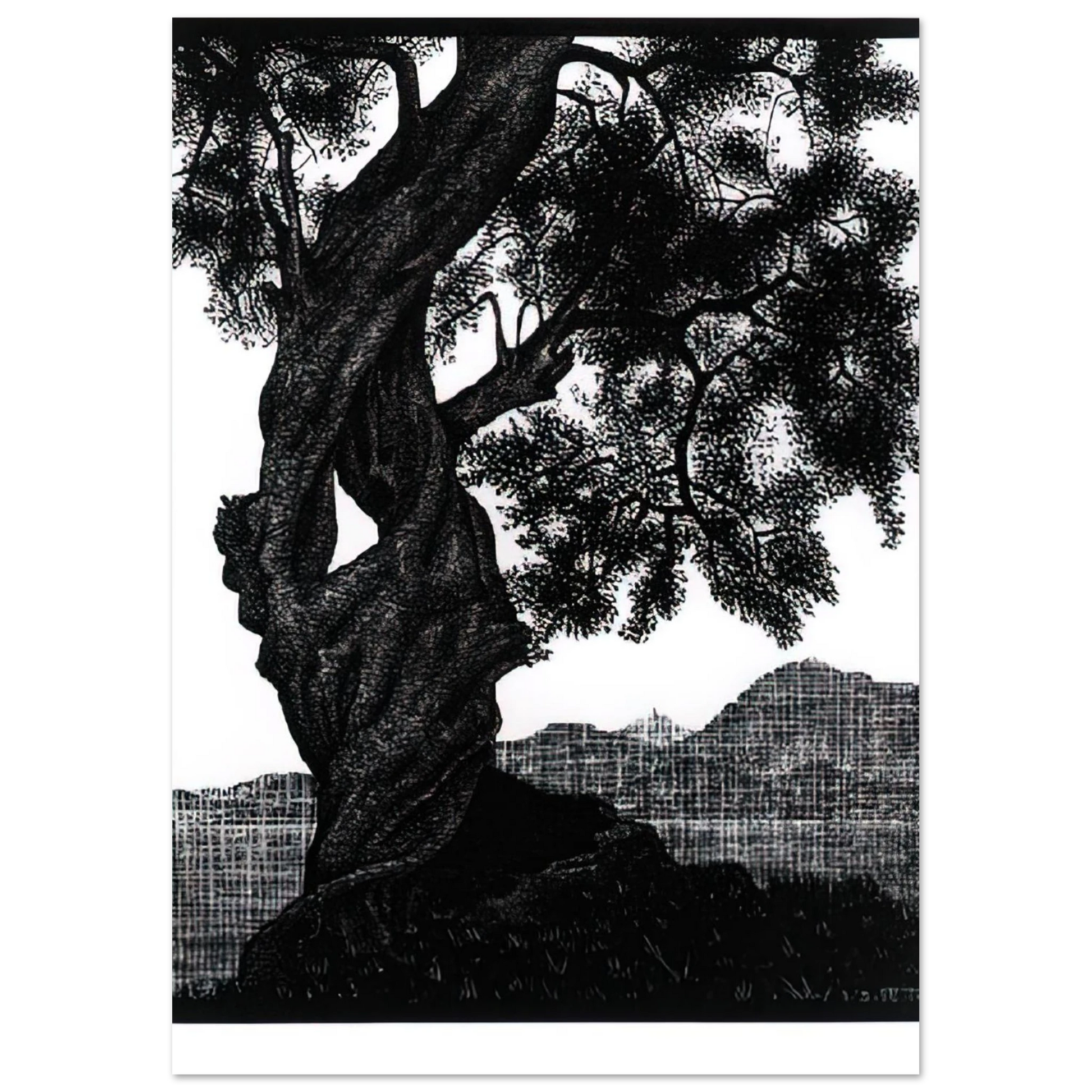 MC Escher - OLD OLIVE TREE CORSICA Wall Art - 30x40 cm / 12x16 inches - Premium Wooden Framed Poster With Fine Art Paper - White frame