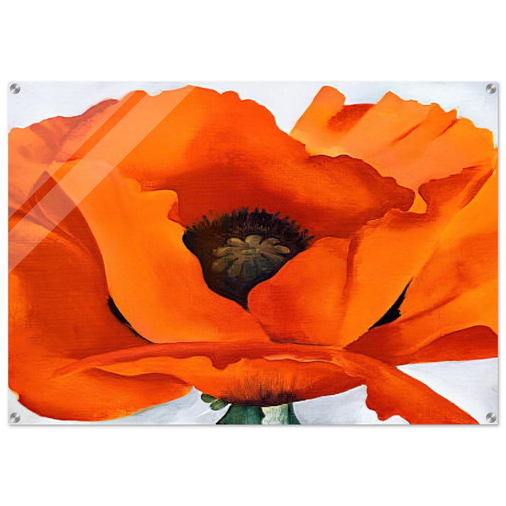 Red Poppy - Georgia O'Keeffe Acrylic Print - 70x100 cm / 28x40″ inches