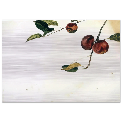 1cea986c-cf96-427d-b241-70b923afef8c