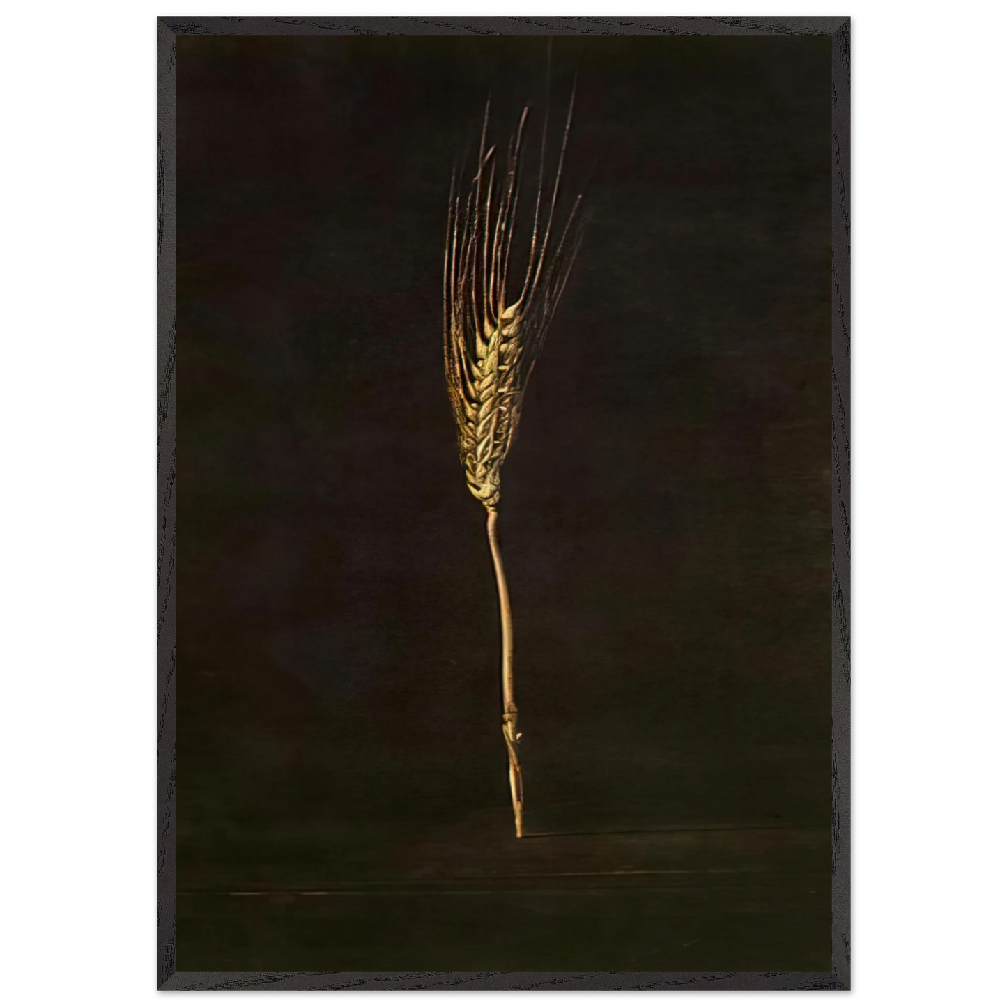 WHEAT EAR - Salvador Dali Framed Art Print – Black Wooden Frame - Default Title - -Framed Art Print