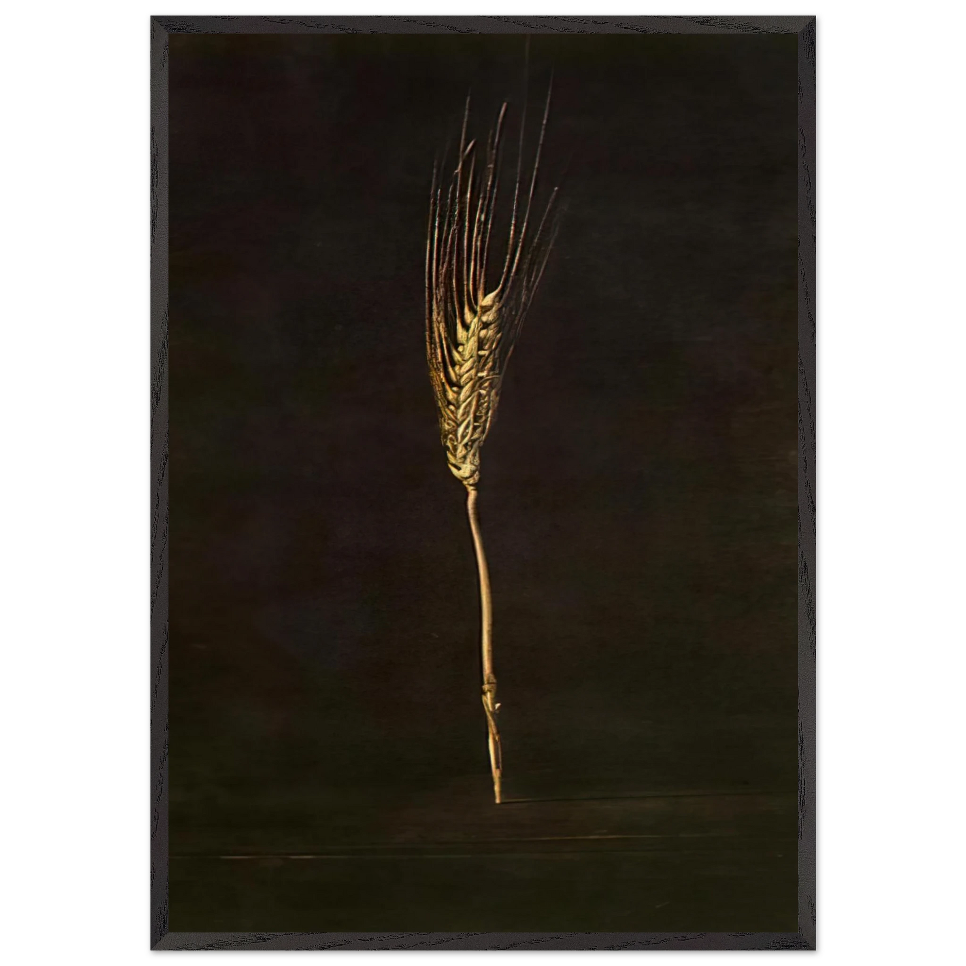 WHEAT EAR - Salvador Dali Framed Art Print – Black Wooden Frame - Default Title - -Framed Art Print