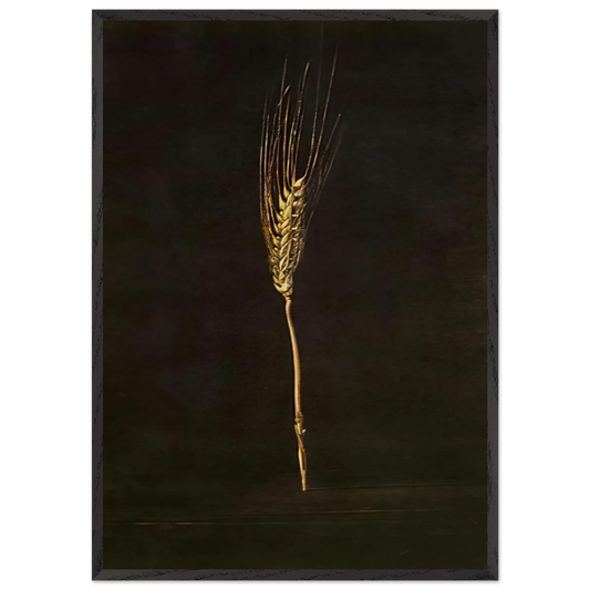 WHEAT EAR - Salvador Dali Framed Art Print – Black Wooden Frame - Default Title - -Framed Art Print