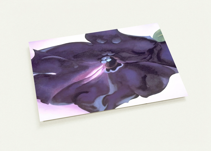 Petunia By Georgia O'Keeffe Pack of 10 Post Cards | Georgia O'Keeffe Post Cards | A6 (10.5 x 14.8 cm) - 4.1 x 5.8 inches