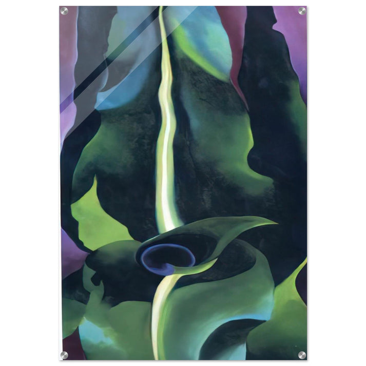 Corn, Dark I - Georgia O'Keeffe Acrylic Print - 70x100 cm / 28x40″ inches