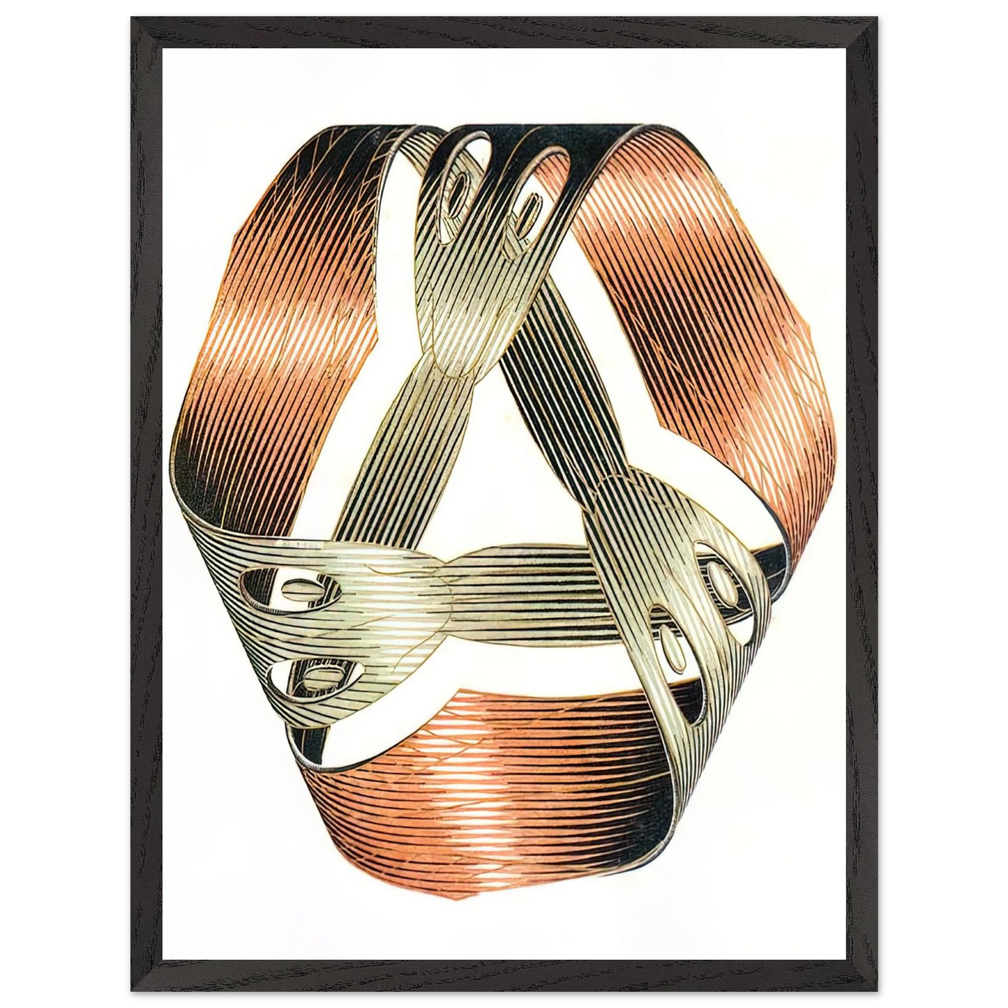 MC Escher - MOEBIUS STRIP I Wall Art - 60x80 cm / 24x32 inches - Fine Art Poster - -
