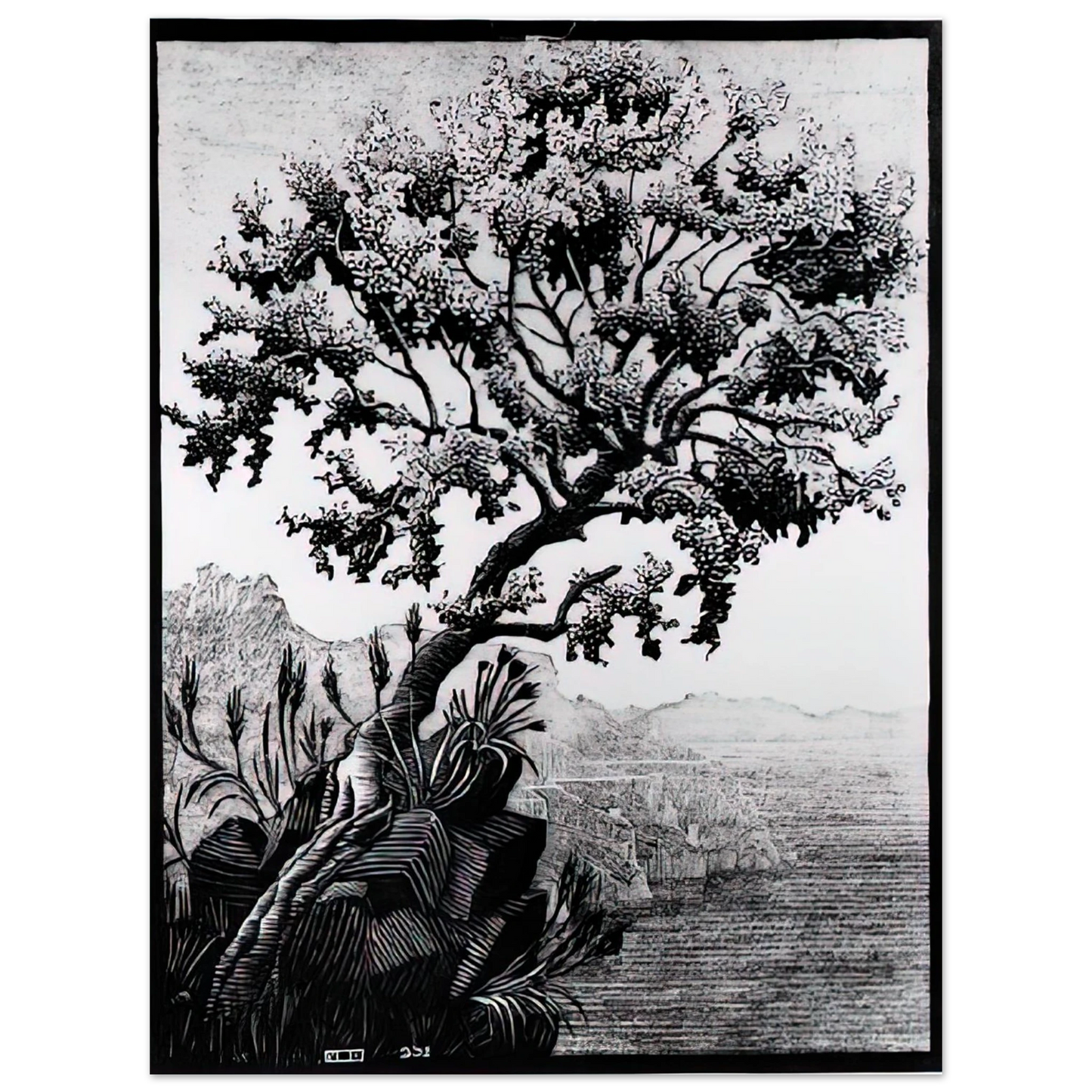 MC Escher - ESCHER (14) Wall Art - 30x40 cm / 12x16 inches - Fine Art Poster - -